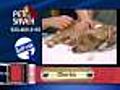 5/22 Petsaver: Dierks the dog