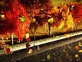 1056 Autumn Leaves Urban Park Canal Sunset Stock Footage