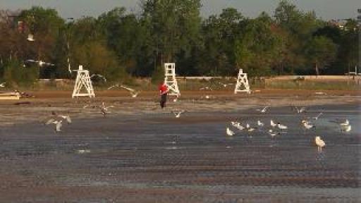 IL beach water among worst in country