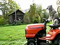 Dog Mowing Lawn