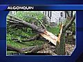 Strong storms crash through Chicago