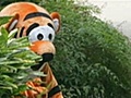 Weird News - The Wonderful Thing About Tiggers