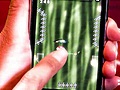 Fishing and Football Flick Games for the iPhone! - AppJudgment