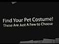 Dog halloween pet costume