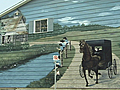 Mennonites of St. Jacobs