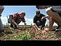 Creektop Community Garden Opens