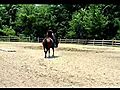 2007 One Hot Krymsun mare for sale