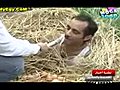 برنامج كوميدي مصري سيد ابو حفيظة