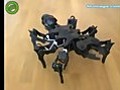 Amazing Robotic Spider