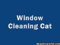 Cat Cleaner