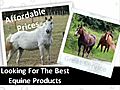 Buy Premium Horse Products And Horse Equipments At HorseSuppliesOnline