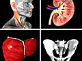 Anatomy Quiz Pro for iPhone