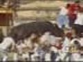 Watch A Bull Go Crowd Surfing
