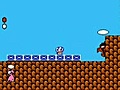 Super Mario Bros. 2 (NES) - 08:14 (PRG0/US version,  emulated run)  - Jean-François Durocher (aka. Genisto) (2004)