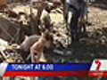 In Seven News Monday @ 6pm: