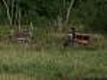Firefighters Battle More Brush Fires