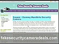 Buy A Fake Security Camera