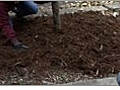 Winterizing Garden - Mulching