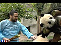 Devenez gardien de panda !