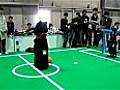 Mechanical cat decapitates itself at Robot World Cup in Japan