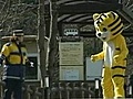 Weird News - Cartoon Tiger Not Funny Business at Tokyo Zoo