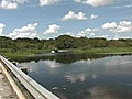 Stock Footage - Myakka Park - Park Airboat (2007)