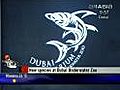 Dubai’s aquatic world