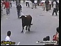 un toro reconoce entre miles de personas a quien cuido le dio de comer es increible.luego- dicendelos