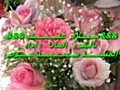 Islamic اسلاميات