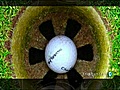 Weihnachtsüberraschung: Golfen