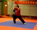 本社拼拳 陳氏太極拳24式(家樂)