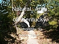 Natural Arch of Kentucky