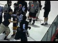 Fan joins hockey fight