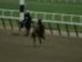 History On The Line For Big Brown