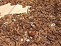 National Geographic Travel - Rattlesnake Roundup