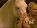 Cavalia Is Coming To Denver