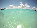 Swimming with a man-o-war in Bermuda
