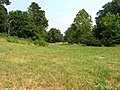 Homes for Sale - 2490 Memorial Industrial School Road - Rural Hall,  NC 27045 - George Munford