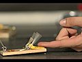 Mouse Trap Finger Challenge - The Slow Mo Guys