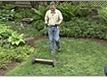 May Gardening Tips - Lawn