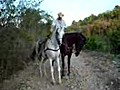 horse dance 2