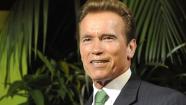 7Live: Culture Pop: Arnold heading back to big screen