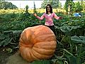 Big Ass Pumpkins