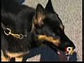 K-9 cops score big in competition