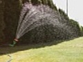 Grass Sprinkler