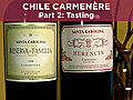 Chile Carmenere,  2: Tasting w/ Worksheet