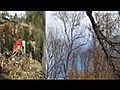 Espaces verts et Forêts Barbier - Elagage et à Sainte Geneviève