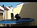 Trampoline Fail