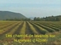 La Provence 2006