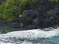 Royalty Free Stock Video SD Footage Zoom Out From Coastline to Black Sand Beach Near Hana in Maui,  Hawaii